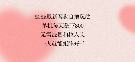 2025最新网盘自撸玩法,单机每天稳下3张,无需流量和拉人头,一个人就可轻松矩阵,全网独一份【揭秘】-网创之家