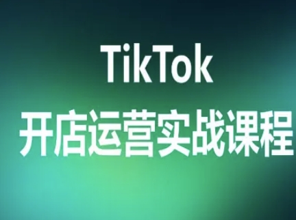 TikTok开店运营实战课程，TK跨境电商实操全流程-网创之家