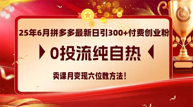 25年6月拼多多最新日引300+付费创业粉,0投流纯自热 卖课月变现六位数方法-网创之家