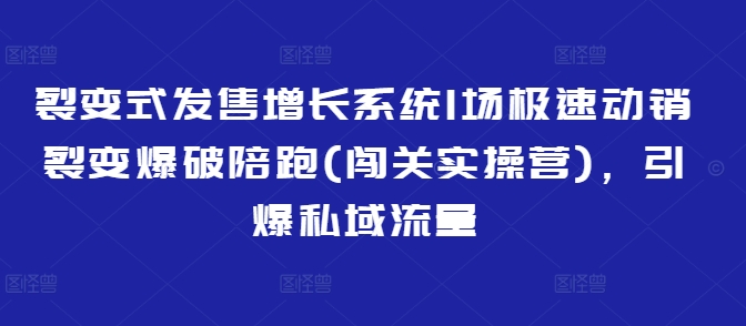 裂变式发售增长系统1场极速动销裂变爆破陪跑(闯关实操营)，引爆私域流量-网创之家