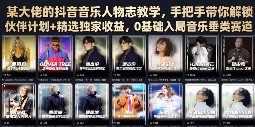 某大佬的抖音音乐人物志教学，手把手带你解锁伙伴计划+精选独家收益，0基础入局音乐垂类赛道-网创之家