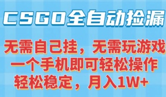 CSGO自动捡漏项目,最新独家玩法,一个手机可操作,新手小白轻松月入1W+,操作简单易上手【揭秘】-网创之家