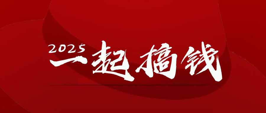 2025年，请“不择手段”去搞钱!-网创之家