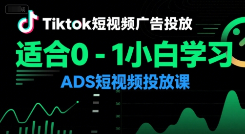 Tiktok短视频广告投放，适合0-1小白学习ADS短视频投放课-网创之家