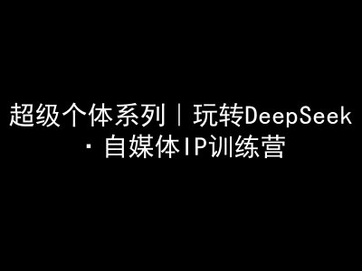 超级个体系列，玩转DeepSeek·自媒体IP训练营，deepseek教程-网创之家