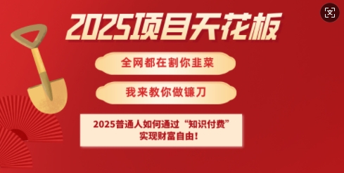 2025项目天花板普通人如何通过知识付费，实现财F自由【揭秘】-网创之家